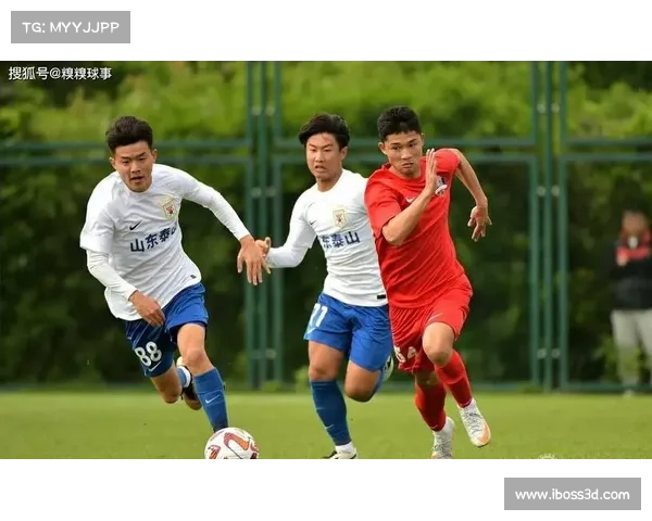 山东泰山队内训练计划安排探索与优化方案分析